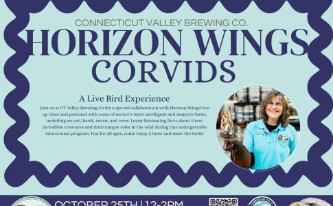 Corvids & Raptors: A Live Bird Experience (Donations Encouraged)