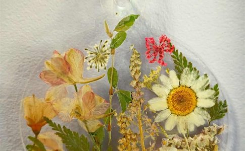 Pressed Flower Class