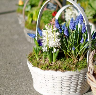Spring Flower Basket Class