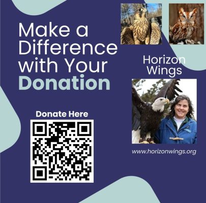 Horizon Wings - LIVE birds