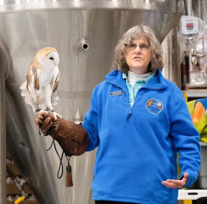 Horizon Wings Seminar: Birds of Prey